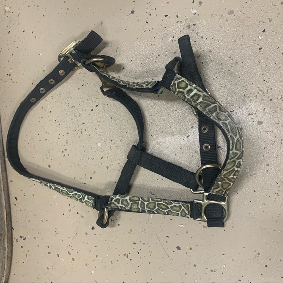 Horse halter - Picture 2 of 4